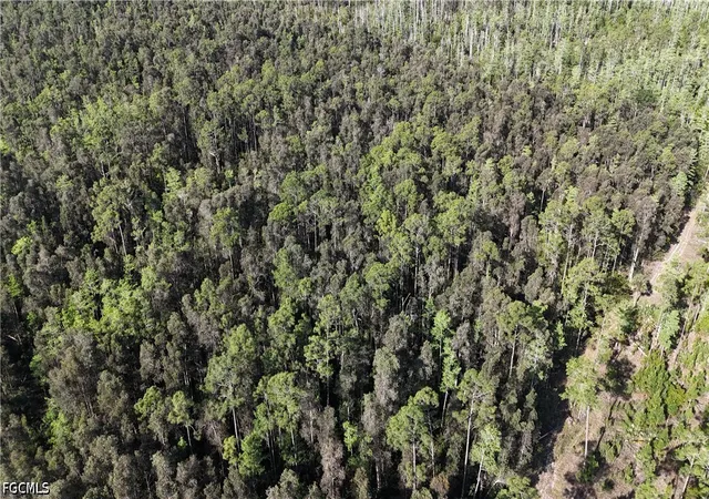 Photo 1 of Land for sale at None, Naples, FL 34119 | MLS# 2026019322 | Listing updated on 2026-04-27