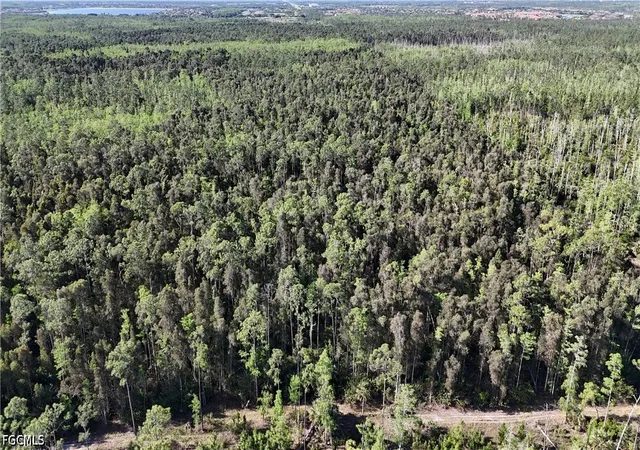 Photo 3 of Land for sale at None, Naples, FL 34119 | MLS# 2026019322 | Listing updated on 2026-04-27