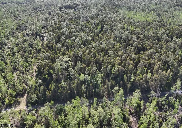 Photo 4 of Land for sale at None, Naples, FL 34119 | MLS# 2026019322 | Listing updated on 2026-04-27