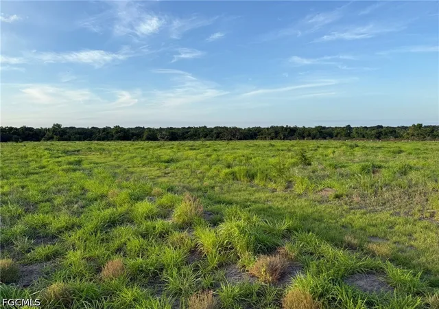 Homes for sale in Wauchula, FL | 1445 S Florida Ave, Wauchula, FL 33873 | MLS# 2026019337