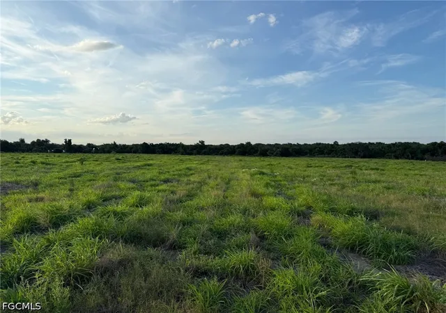 Homes for sale in Wauchula, FL | 1445 S Florida Ave, Wauchula, FL 33873 | MLS# 2026019337