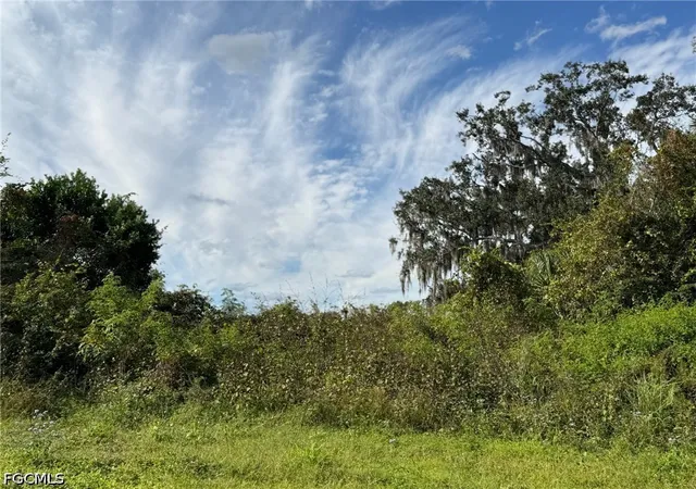 Homes for sale in Wauchula, FL | 1445 S Florida Ave, Wauchula, FL 33873 | MLS# 2026019337