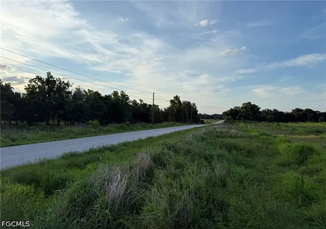 Homes for sale in Wauchula, FL | 1445 S Florida Ave, Wauchula, FL 33873 | MLS# 2026019337