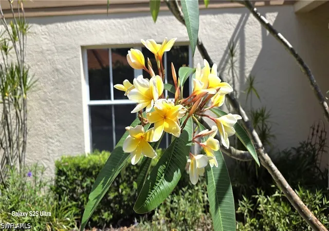 Photo 3 of Condo for sale at 9060 Palmas Grandes Blvd #106, Bonita Springs, FL 34135 | MLS# 226017358 | Listing updated on 2026-08-04
