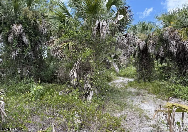 Photo 4 of Land for sale at 01 Woodland Grade Private Rd, Naples, FL 34117 | MLS# 226018817 | Listing updated on 2026-08-10