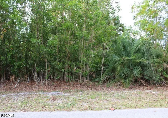 Photo 3 of Land for sale at 4416 Lake Heather Cir, Saint James City, FL 33956 | MLS# 2026021214 | Listing updated on 2026-07-01