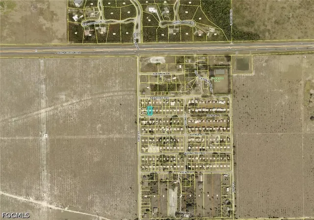 Homes for sale in Alva, FL | 23021 Avenue A, Alva, FL 33920 | MLS# 2026021326