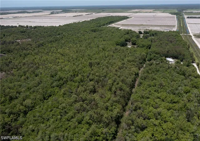 Photo 3 of Land for sale at Lager Ln, Naples, FL 34114 | MLS# 226018289 | Listing updated on 2026-05-14