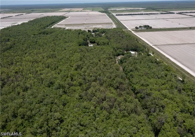 Photo 4 of Land for sale at Lager Ln, Naples, FL 34114 | MLS# 226018289 | Listing updated on 2026-05-14