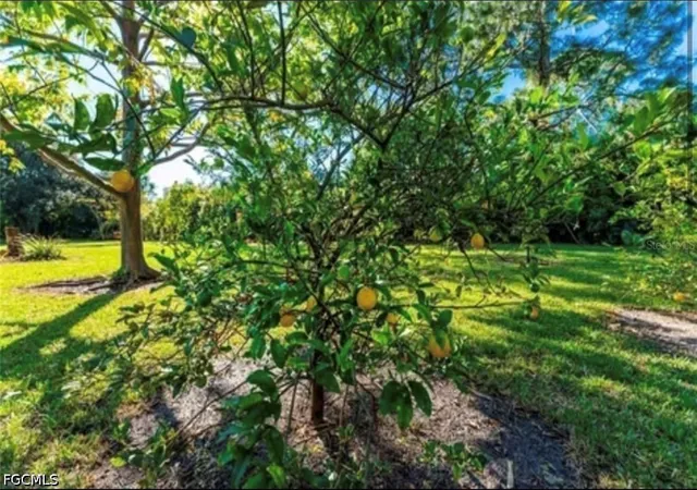 Photo 2 of Land for sale at 25271 Roland Ln, Punta Gorda, FL 33955 | MLS# 2026021856 | Listing updated on 2026-05-16