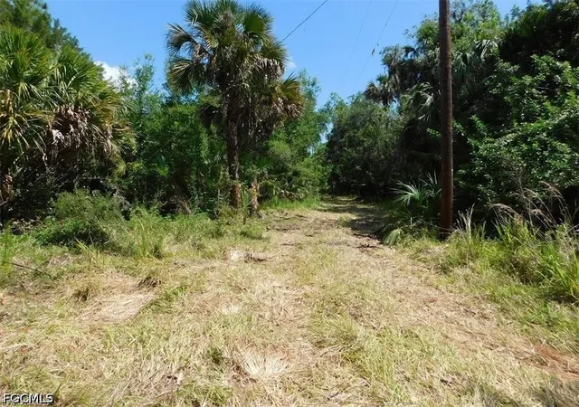 4th image of 14971 Duke Hwy, Alva, FL 33920 | MLS# 2026022127