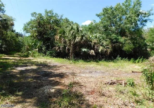 5th image of 14971 Duke Hwy, Alva, FL 33920 | MLS# 2026022127