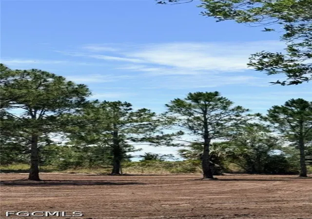 Photo 3 of Land for sale at 17926 250 Street NW, Okeechobee, FL 34972 | MLS# 2026022748 | Listing updated on 2026-05-20