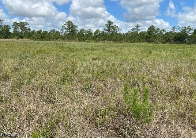 4th image of 577 Kirby Thompson Rd, Fort Denaud, FL 33935 | MLS# 2026022832