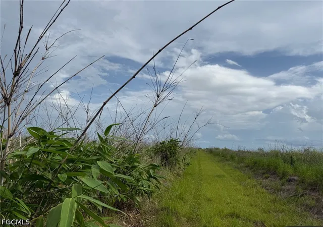 3rd image of 6658 + 6680 4Th Rd, Labelle, FL 33935 | MLS# 2026023226