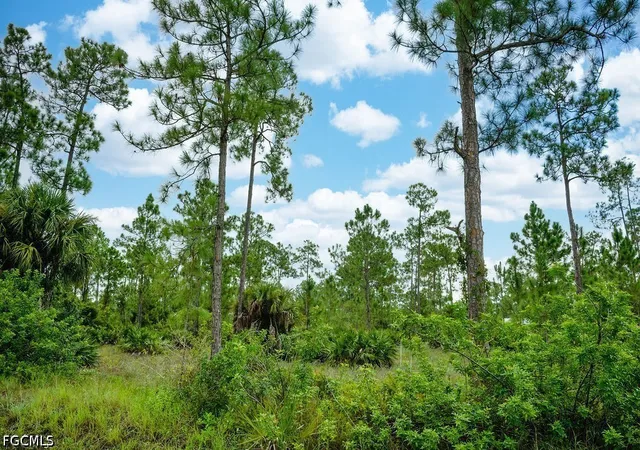 Photo 2 of Land for sale at 1222 North Ave, Lehigh Acres, FL 33972 | MLS# 2026023859 | Listing updated on 2026-09-29