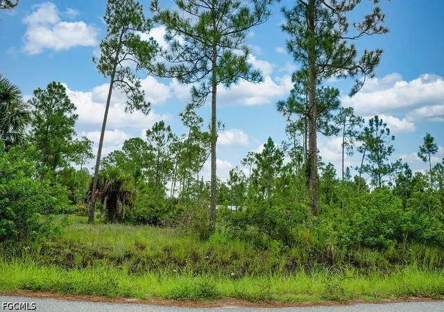Photo 3 of Land for sale at 1222 North Ave, Lehigh Acres, FL 33972 | MLS# 2026023859 | Listing updated on 2026-09-29