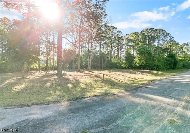 Photo 3 of Land for sale at 107 Rosemont Pl, La Belle, FL 33935 | MLS# 2026024296 | Listing updated on 2026-06-01