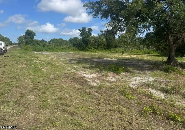 Homes for sale in Alva, FL | 4239 E 29th St, Alva, FL 33920 | MLS# 2026024590