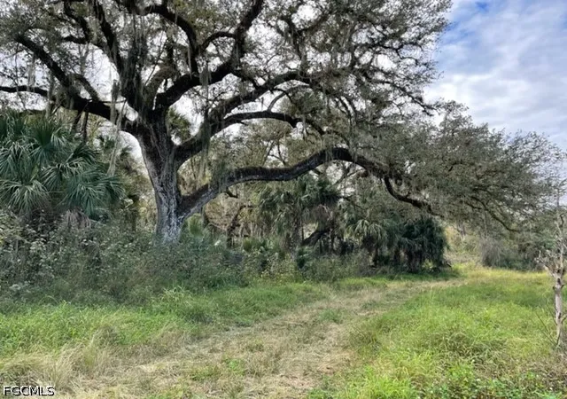 Photo 1 of Land for sale at 501 Norris Rd, Fort Denaud, FL 33935 | MLS# 2026024715 | Listing updated on 2026-06-03