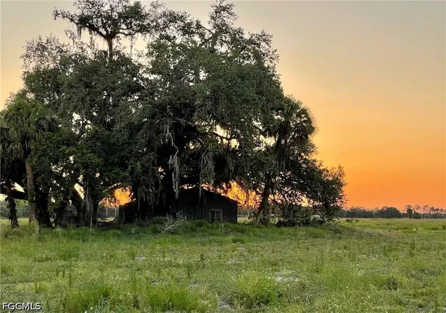 Photo 4 of Land for sale at 501 Norris Rd, Fort Denaud, FL 33935 | MLS# 2026024715 | Listing updated on 2026-06-03