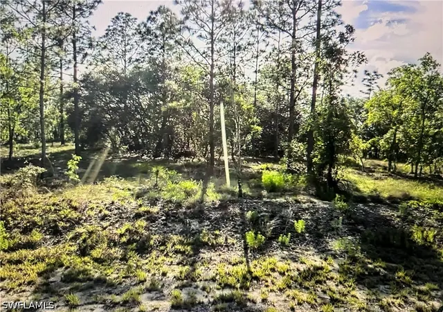 Land for sale at None None, Dunnellon, FL 34431 | MLS# 226021778
