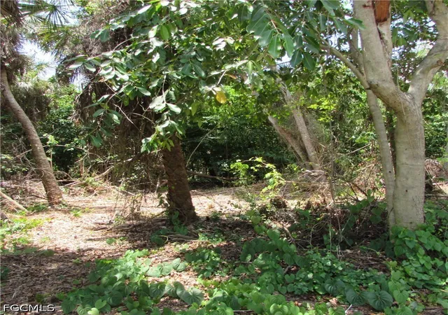 17th image of 14901 Stringfellow Rd, Bokeelia, FL 33922 | MLS# 2026025371