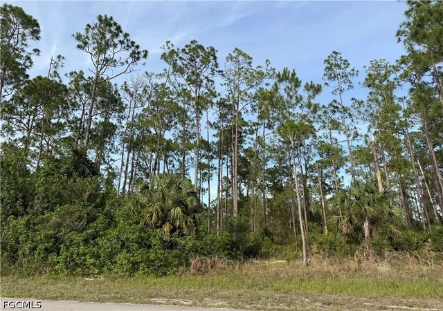 Homes for sale in Alva, FL | 2202 Truman Ave, Alva, FL 33920 | MLS# 2026025589