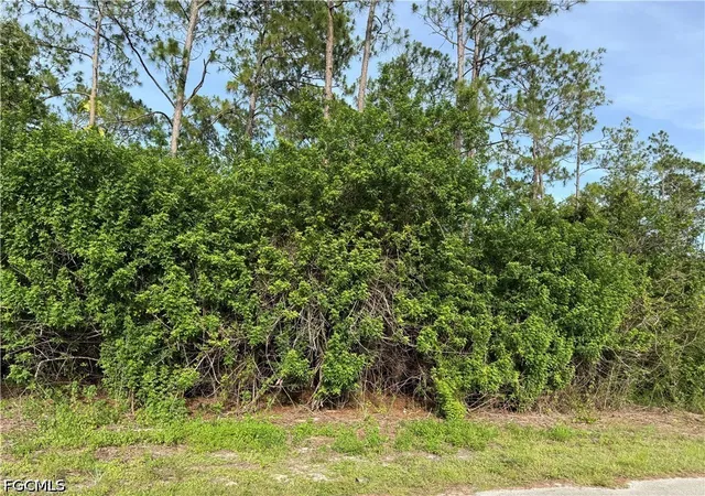 Homes for sale in Alva, FL | 2202 Truman Ave, Alva, FL 33920 | MLS# 2026025589