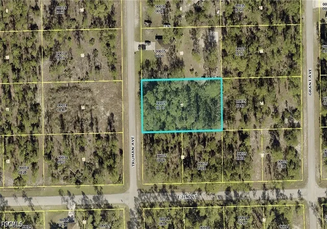 Homes for sale in Alva, FL | 2202 Truman Ave, Alva, FL 33920 | MLS# 2026025589