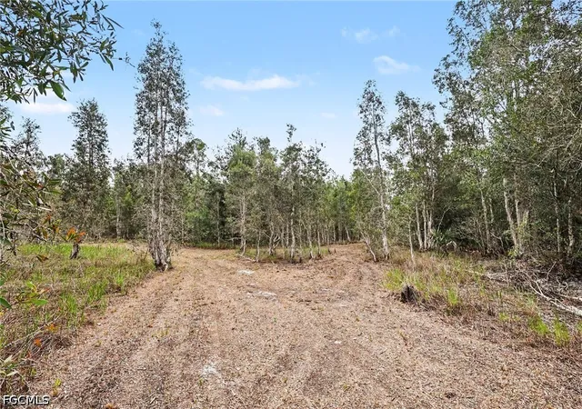 4th image of 20800 Williams Dr, North Fort Myers, FL 33917 | MLS# 2026025848