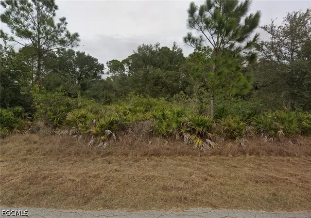 Homes for sale in Alva, FL | 3905 E 21st St, Alva, FL 33920 | MLS# 2026025889