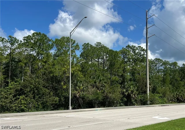 2nd image of Xxx Immokalee Rd, Naples, FL 34120 | MLS# 226022870