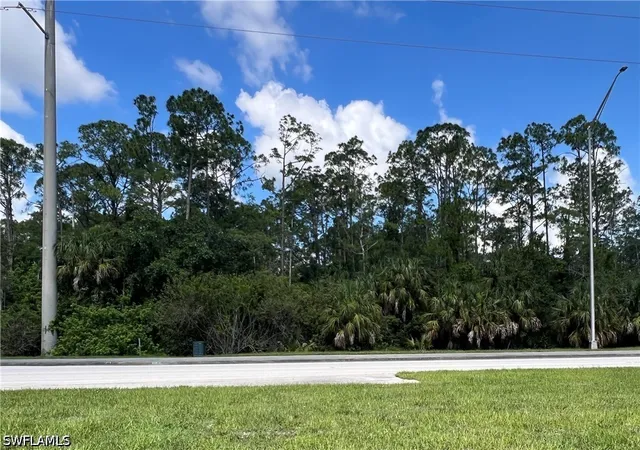 3rd image of Xxx Immokalee Rd, Naples, FL 34120 | MLS# 226022870