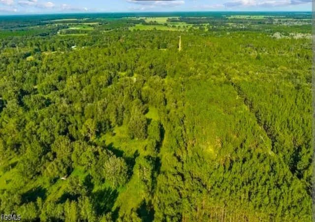 Photo 2 of Land for sale at Tbd, Fort Meade, FL 33841 | MLS# 2026026355 | Listing updated on 2026-07-23