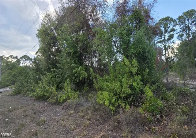 Photo 3 of Land for sale at 4640 15th Street Sw, Lehigh Acres, FL 33973 | MLS# 2026026415 | Listing updated on 2026-06-19
