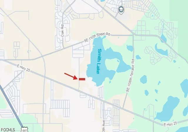 3rd image of 0 Se 92 Ct, Belleview, FL 34420 | MLS# 2026026543