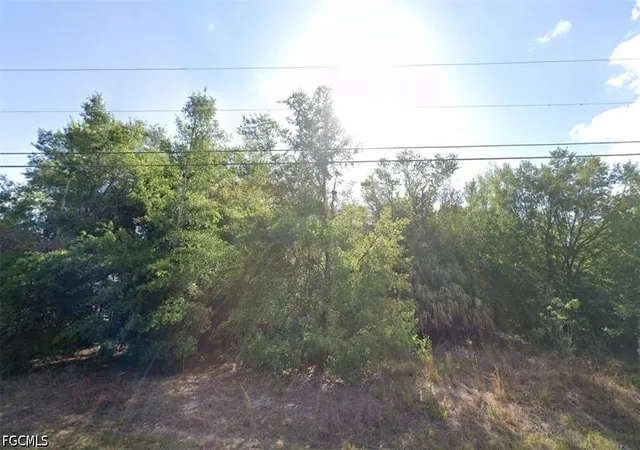 5th image of 0 Se 92 Ct, Belleview, FL 34420 | MLS# 2026026543