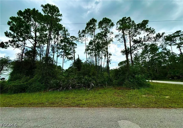 Homes for sale in Alva, FL | 4106 E 21st St, Alva, FL 33920 | MLS# 2026026968