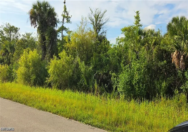 2nd image of 45th Ave Ne, Naples, FL 34120 | MLS# 226023487