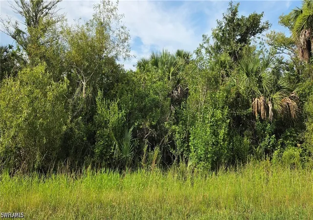 4th image of 45Th Ave Ne, Naples, FL 34120 | MLS# 226023487