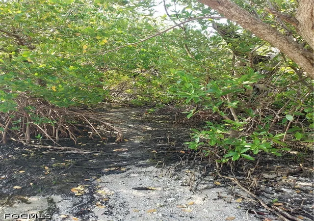 1st image of Tbd Masters Landing Dr, St James City, FL 33956 | MLS# 2026027336