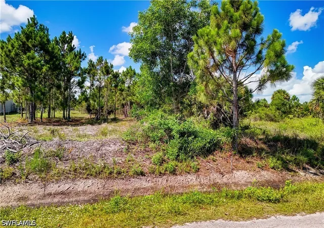 Photo 4 of Land for sale at 2306 56th Avenue NE, Naples, FL 34120 | MLS# 226023828 | Listing updated on 2026-07-30