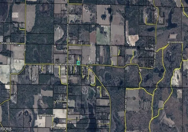 2nd image of Salem Church Rd, Sneads, FL 32460 | MLS# 2026027454