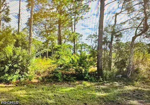 Photo 1 of Land for sale at 221 Victoria Ave S, Lehigh Acres, FL 33974 | MLS# 2026027575 | Listing updated on 2026-06-24