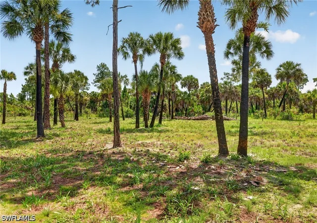 Photo 3 of Land for sale at Xxx Ivy Way, Naples, FL 34117 | MLS# 226023771 | Listing updated on 2026-07-13