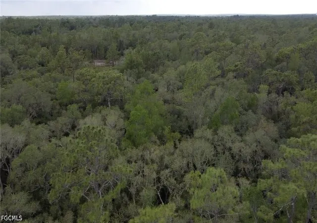 Photo 3 of Land for sale at 34287 Berryhill Dr, Webster, FL 33597 | MLS# 2026027848 | Listing updated on 2026-06-29
