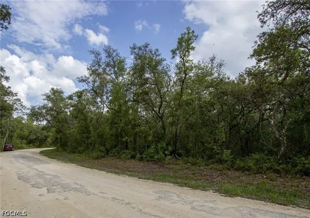 Photo 3 of Land for sale at 34287 Berryhill Dr, Webster, FL 33597 | MLS# 2026027848 | Listing updated on 2026-06-29