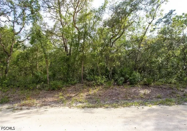 Photo 4 of Land for sale at 34287 Berryhill Dr, Webster, FL 33597 | MLS# 2026027848 | Listing updated on 2026-06-29
