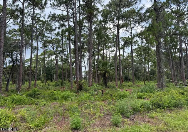 Photo 2 of Land for sale at 1911 Mcarthur Ave, Lehigh Acres, FL 33972 | MLS# 2026027915 | Listing updated on 2026-08-04